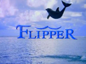 flipper300